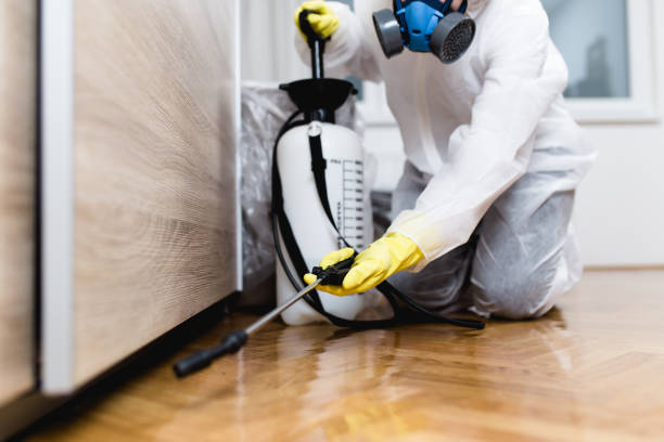 Best Emergency Pest Control  in Port Townsend, WA
