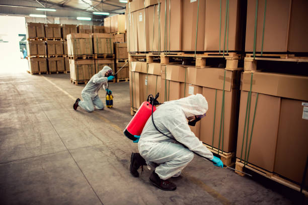 Best Best Pest Control Companies  in Port Townsend, WA