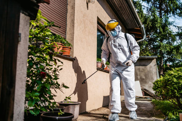 Best Pest Control for Restaurants  in Port Townsend, WA