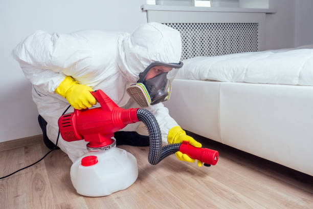 Best Pest Removal Services  in Port Townsend, WA