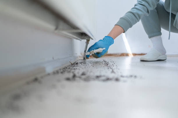 Pest Control for Restaurants in Port Townsend, WA